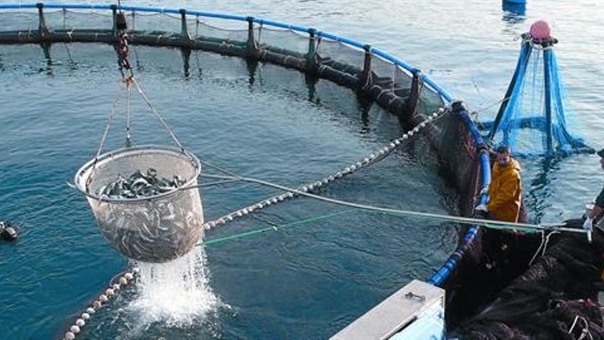 48696f28-8c92-4ae4-a207-23d3bc1fdfe4_16-9-discover-aspect-ratio_default_0