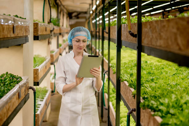 Young woman Biotechnologist using tablet to check quality and quantity of vegetable in hydroponic farm. Using technology to reduce working time and more comfortable. Green salads in background